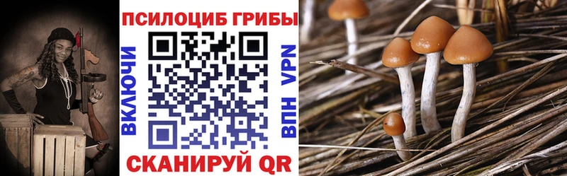 mega зеркало  Байкальск  Псилоцибиновые грибы Psilocybe 